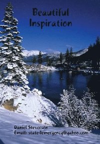 bokomslag Beautiful Inspiration