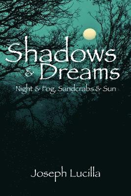 Shadows and Dreams 1