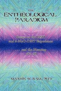 bokomslag The Entheological Paradigm