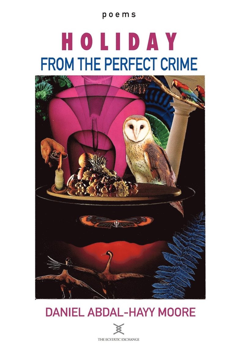 Daniel Abdal-Hayy Moore - Holiday from the Perfect Crime / Poems, Häftad