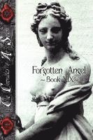 bokomslag Forgotten Angel