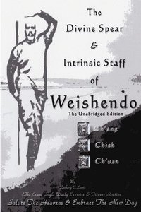 bokomslag Divine Spear & Intrinsic Staff of WEISHENDO