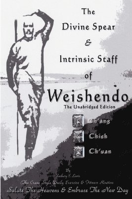 bokomslag Divine Spear & Intrinsic Staff of WEISHENDO