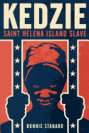 bokomslag Kedzie: Saint Helena Island Slave