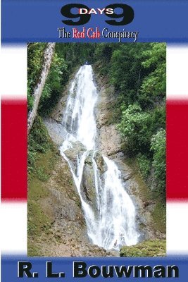 Roger Bouwman - 99 Days, Häftad