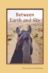 bokomslag Between Earth and Sky