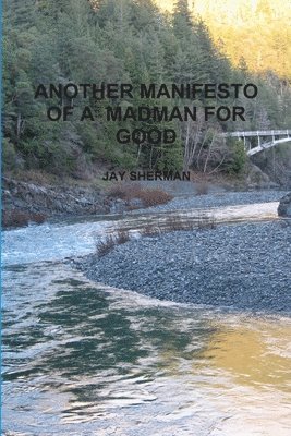 Another Manifesto of a Madman for Good 1