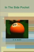 D B Smith, D. B. Smith - In The Side Pocket, Häftad
