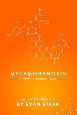 bokomslag Metamorphosis - Triumph Through Trials