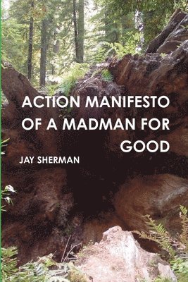 bokomslag Action Manifesto of a Madman for Good