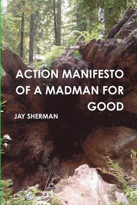 Action Manifesto of a Madman for Good 1