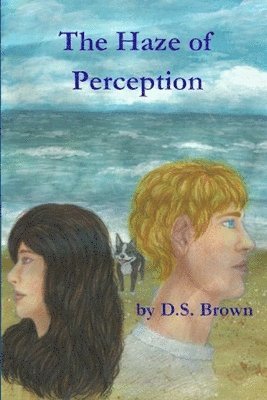 Haze of Perception