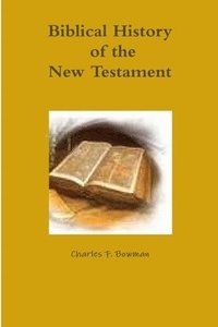 bokomslag Biblical History of the New Testament