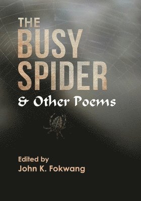 bokomslag The Busy Spider and Other Poems