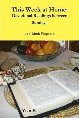 Joel Mark Flugstad - This Week at Home, Häftad