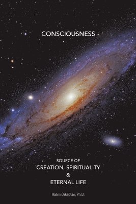 bokomslag Consciousness Source of Creation, Spirituality & Eternal Life