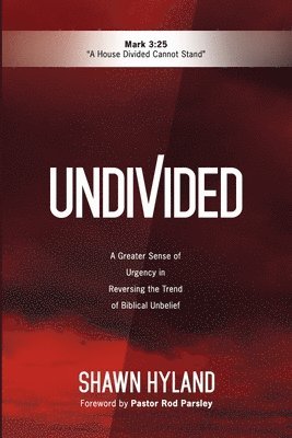 Undivided 1