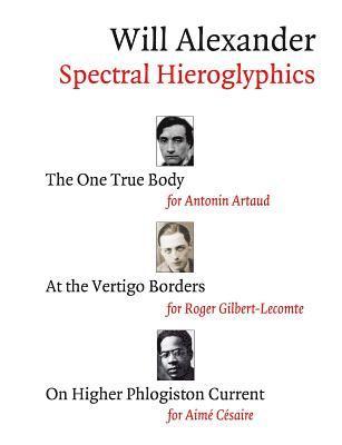 bokomslag Spectral Hieroglyphics