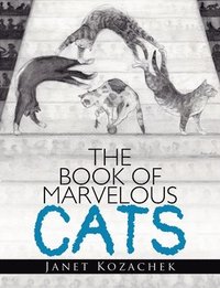 bokomslag The Book of Marvelous Cats