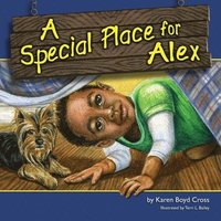 bokomslag A Special Place for Alex