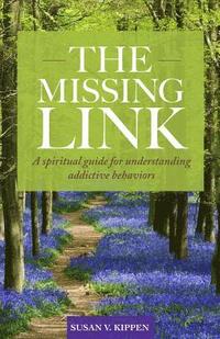 bokomslag Missing Link