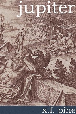 bokomslag Jupiter - Reports, Stories and Excerpts
