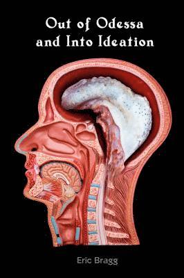 bokomslag Out of Odessa and Into Ideation