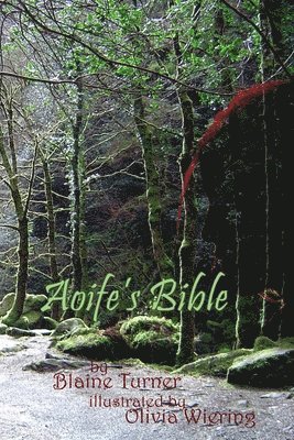 Blaine Turner - Aoife's Bible, Häftad