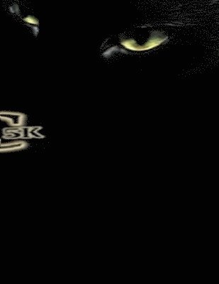 O G, O. G - Scrap Catalytic Converter Guide, Häftad