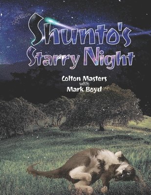 Shunto's Starry night