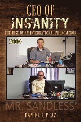 bokomslag CEO of Insanity