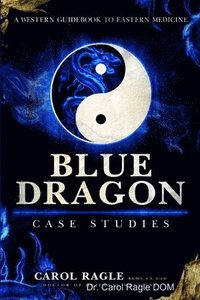 bokomslag Blue Dragon Case Studies
