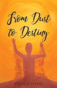 bokomslag From Dust To Destiny