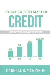 bokomslag Strategies to Master Credit