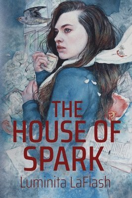 bokomslag House of Spark
