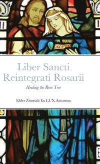 bokomslag Liber Sancti Reintegrati Rosarii