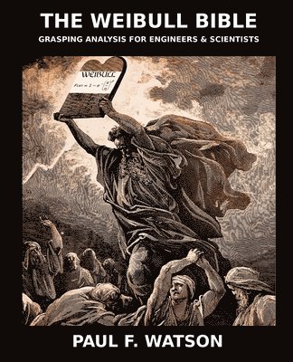 bokomslag Weibull Bible