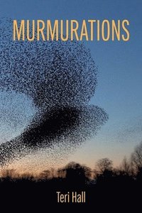 bokomslag Murmurations