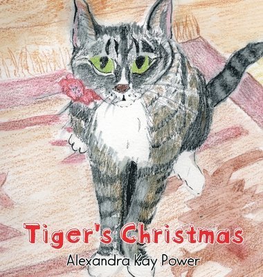 Tiger's Christmas 1