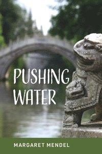 bokomslag Pushing Water