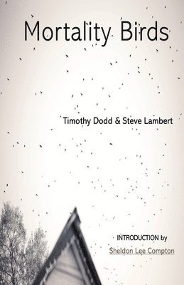 Steve Lambert, Timothy Dodd - Mortality Birds, Häftad