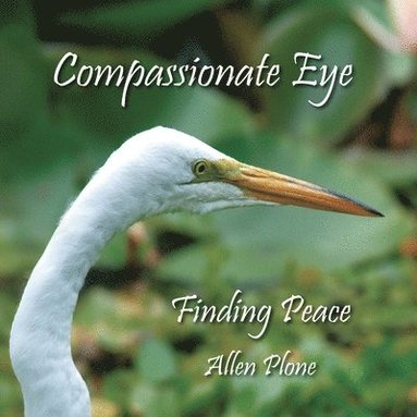 bokomslag Compassionate Eye