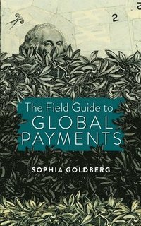 bokomslag The Field Guide to Global Payments