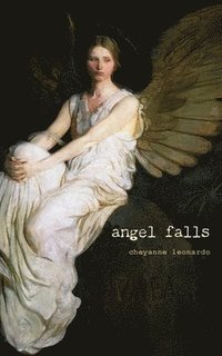bokomslag angel falls