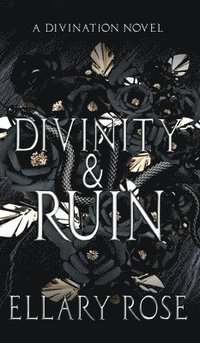 bokomslag Divinity & Ruin
