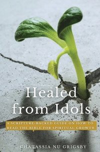 bokomslag Healed from Idols