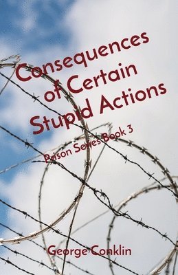 Consequences of Certain Stupid Actions 1