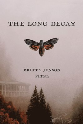 The Long Decay 1