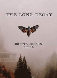 bokomslag The Long Decay