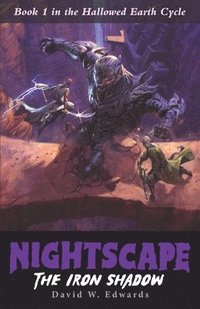 bokomslag Nightscape
